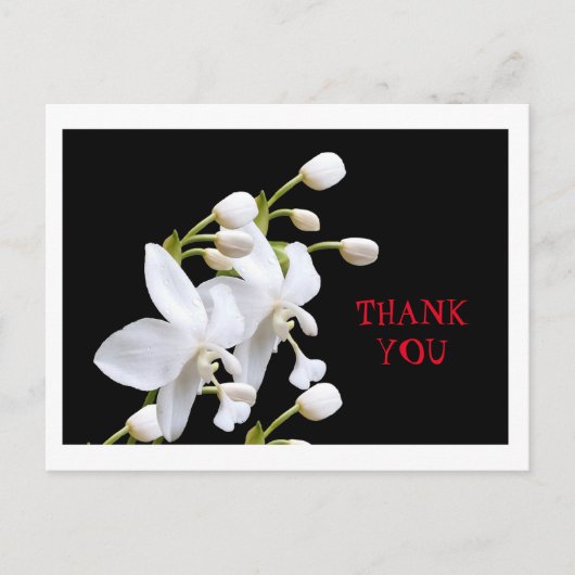 環境関係活動サンキューカード ポストカード (正面)