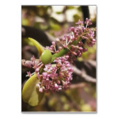 環実在ビュー テーブルナンバー (正面)