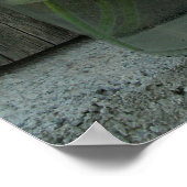 瓶のデイジー&バーンウッドポスター ポスター (角)