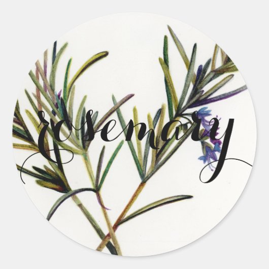 瓶またはシードパケットのハーブのラベル: Rosemary ラウンドシール (正面)