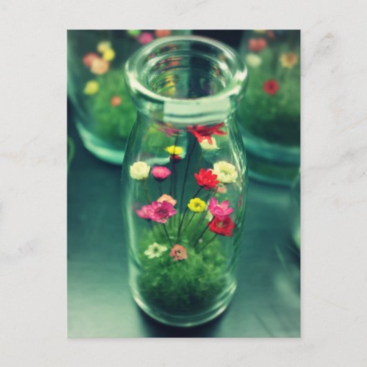 瓶詰めの花 ポストカード (正面)