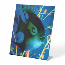 瓶詰めの魚 jGibney 博物館 Zazzle