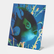 瓶詰めの魚 jGibney 博物館 Zazzle