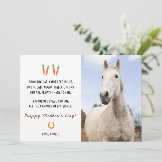 甘いおもしろい馬ハッピーマザーズのデイカード シーズンカード (スタンド正面)