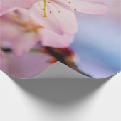 甘いさくらんぼのピンク色と青空 ラッピングペーパー (角)