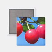 甘いさくらんぼ マグネット (正面/裏面)