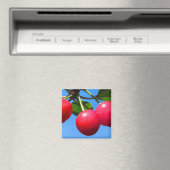 甘いさくらんぼ マグネット (インサイチュ (食洗機))