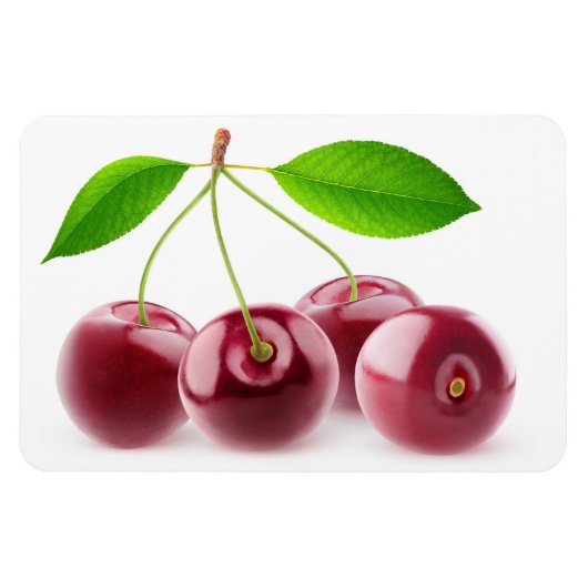 甘いさくらんぼ マグネット (横)