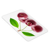 甘いさくらんぼ マグネット (右側)