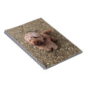 甘いすごいカバポの手帳 ノートブック (右側)