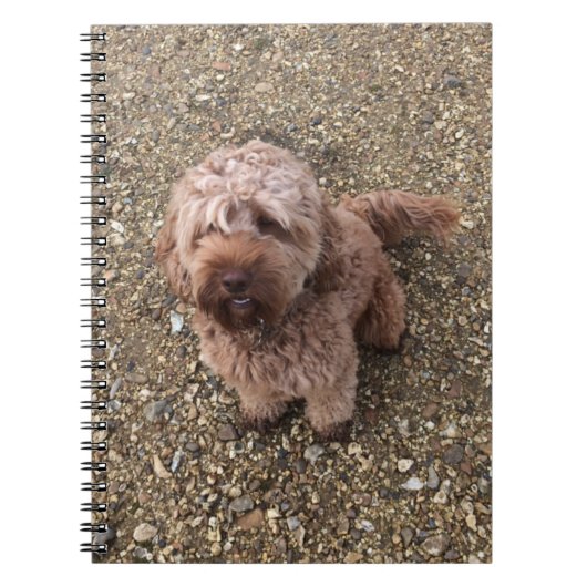 甘いすごいカバポの手帳 ノートブック (正面)