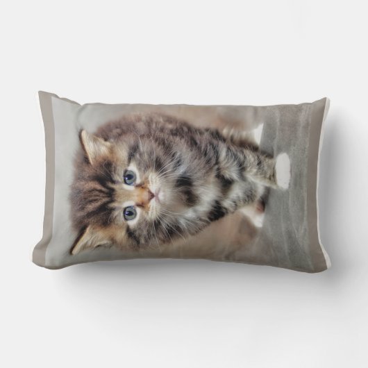 甘いぶちのベビー子猫 ランバークッション (正面)