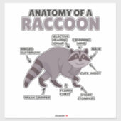 甘いアライグマ説明アライグマの解剖学 シール (シート)