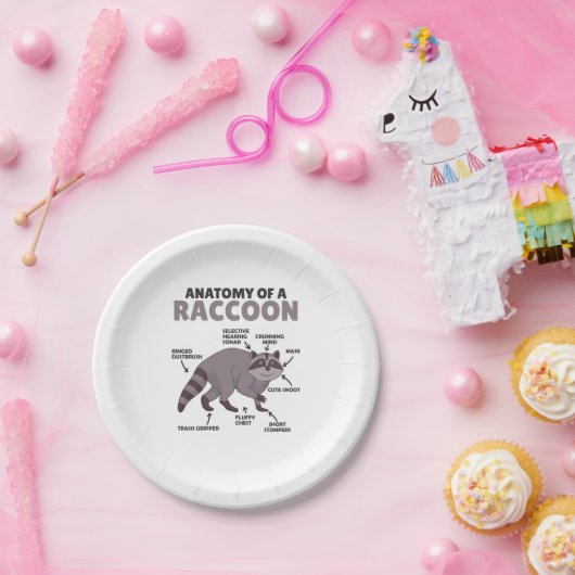 甘いアライグマ説明アライグマの解剖学 ペーパープレート (パーティー)