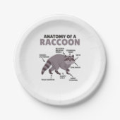 甘いアライグマ説明アライグマの解剖学 ペーパープレート (正面)