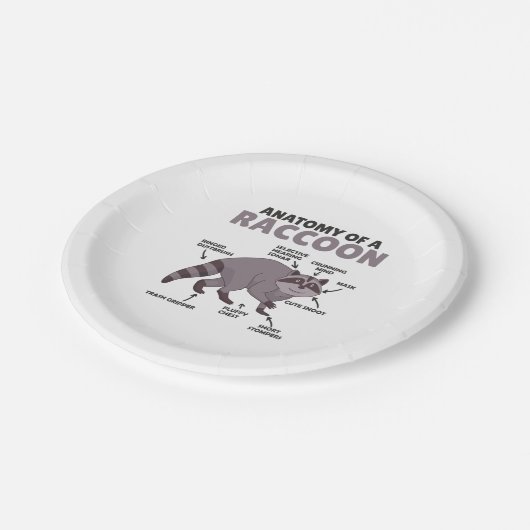 甘いアライグマ説明アライグマの解剖学 ペーパープレート (アングル)