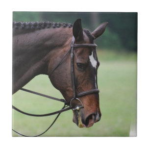 甘いアラビアの馬のタイル タイル