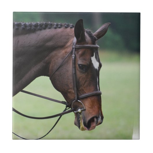 甘いアラビアの馬のタイル タイル (正面)