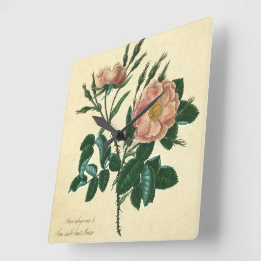 甘いイバラは上がりました スクエア壁時計 (傾斜)