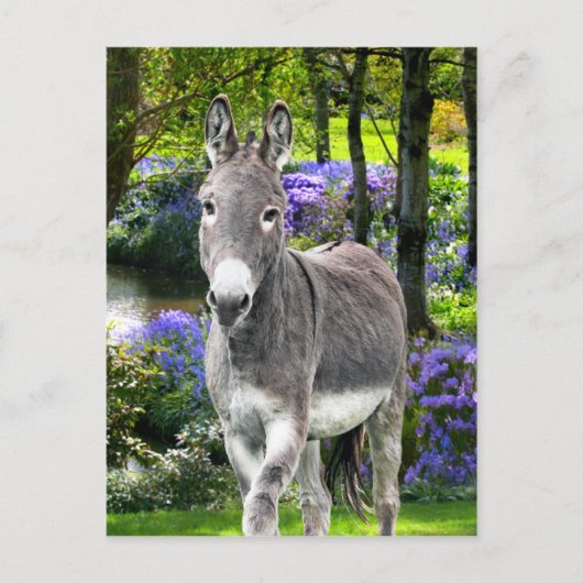 「甘いイースター」 ポストカード (正面)