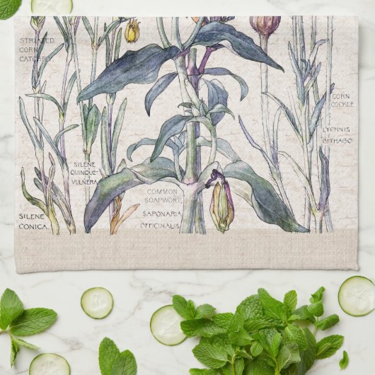 甘いウィリアムの野生の花の花の台所タオル キッチンタオル (折り畳み)