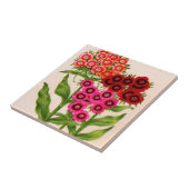 甘いウィリアム タイル (側面)