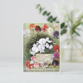 甘いエンドウの種子 ポストカード (スタンド正面)