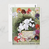 甘いエンドウの種子 ポストカード (正面/裏面)