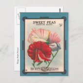 甘いエンドウ ポストカード (正面/裏面)