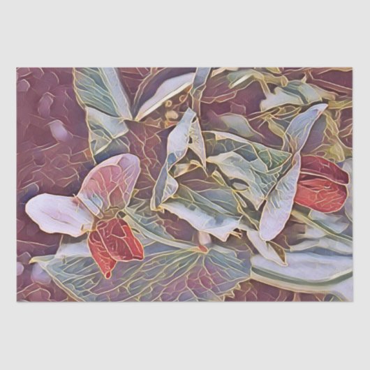 甘いエンドウ 薄葉紙 (正面)