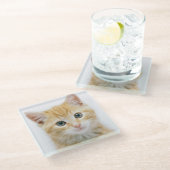甘いオレンジの虎猫 ガラスコースター (アングル)