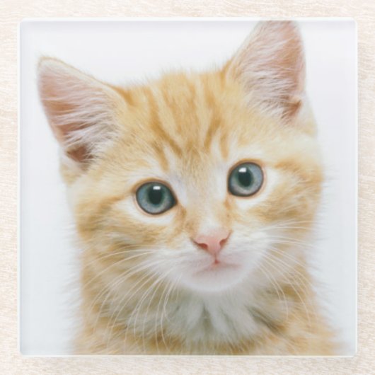 甘いオレンジの虎猫 ガラスコースター (正面)