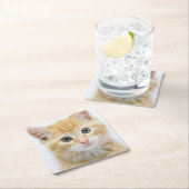 甘いオレンジの虎猫 スクエアペーパーコースター (インサイチュ)