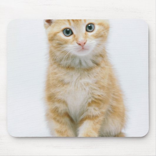 甘いオレンジの虎猫 マウスパッド (正面)