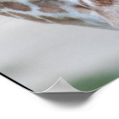 甘いキリンのポスター ポスター (角)