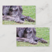 甘いグレートデーンの名刺 名刺 (正面/裏面)