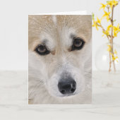 甘いコーギーの顔カード カード (黄色い花)