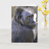 甘いゴリラ カード (黄色い花)