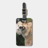 甘いゴールデン・リトリーバーの荷物のラベル ラゲッジタグ (正面縦)