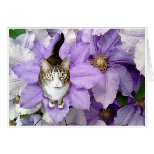 甘いサム (正面横)