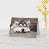 甘いシベリアン·ハスキーの子犬が眠る カード (黄色い花)