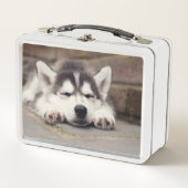 甘いシベリアン·ハスキーの子犬が眠る メタルランチボックス (正面)