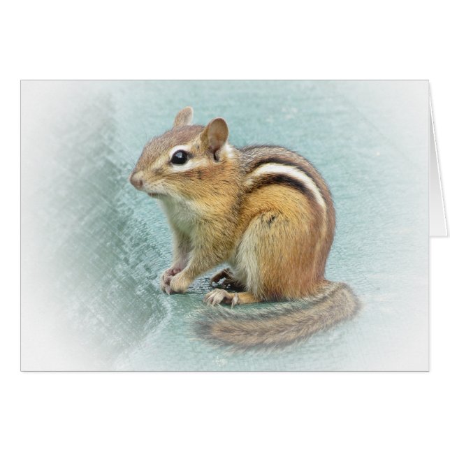甘いシマリス (正面横)