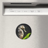 甘いシーホース マグネット (インサイチュ (食洗機))