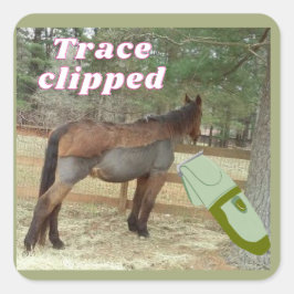 甘いジャミートトレースがクリップ スクエアシール