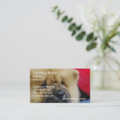 甘いチャウチャウ 名刺 (スタンド正面)