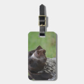 甘いドイツShorthairedポインター ラゲッジタグ (正面縦)