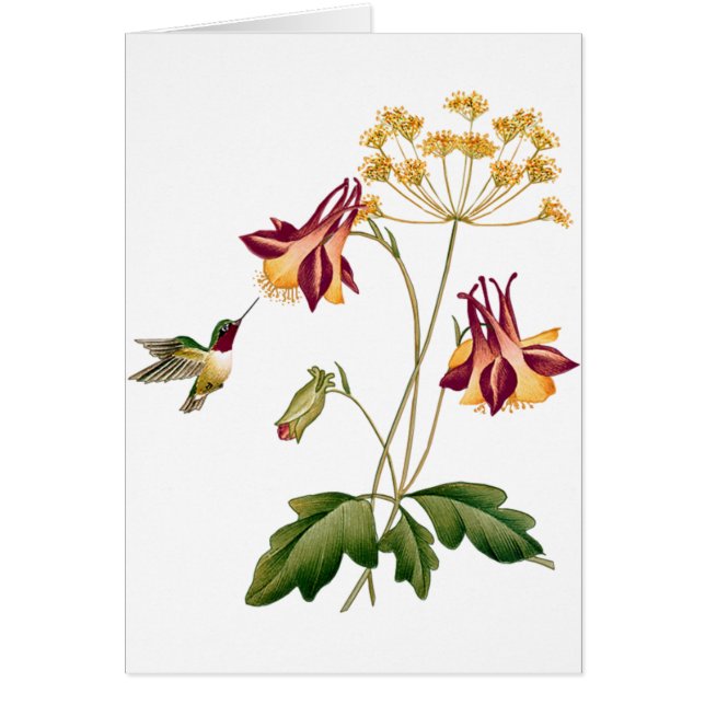 甘いハチドリのヴィンテージの植物園 (正面)