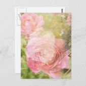 甘いバラ ポストカード (正面/裏面)