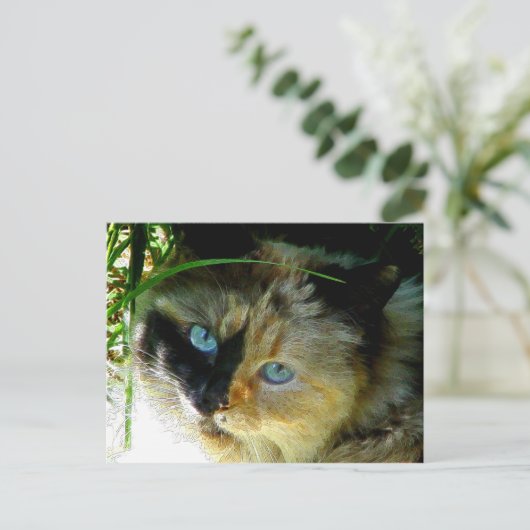 甘いパイ ポストカード (スタンド正面)